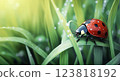 Ladybug with dewdrops on grass in morning light ai generative 123818192