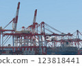 Cargo shipping cargo 123818441