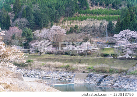 Sightseeing and recreational spot: Suikibashi Bridge, which shines during the cherry blossom season, Kannohara Waterfront Park (Yuyama, Minakami Village, Kuma District, Kumamoto Prefecture) 123818796