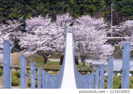 Sightseeing and recreational spot: Suikibashi Bridge, which shines during the cherry blossom season, Kannohara Waterfront Park (Yuyama, Minakami Village, Kuma District, Kumamoto Prefecture) Sightseeing and recreational spot: Suikibashi Bridge, which shines during the cherry blossom season, Kannohara Waterfront Park (Yuyama, Minakami Village, Kuma District, Kumamoto Prefecture) 123818803