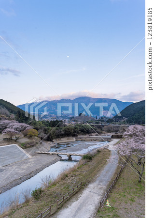 Surrounding scenery: Suikibashi Bridge, shining in the cherry blossom season, Kannohara Waterfront Park (Yuyama, Minakami Village, Kuma District, Kumamoto Prefecture) 123819185