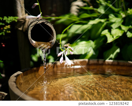 Flowers blooming by the water in the garden Flowers blooming by the water in the garden 123819242