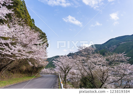 觀光休憩地:淺之原臨水公園的櫻花美景(熊本縣球磨郡水上村湯山) 觀光休憩地:淺之原臨水公園的櫻花美景(熊本縣球磨郡水上村湯山) 123819384