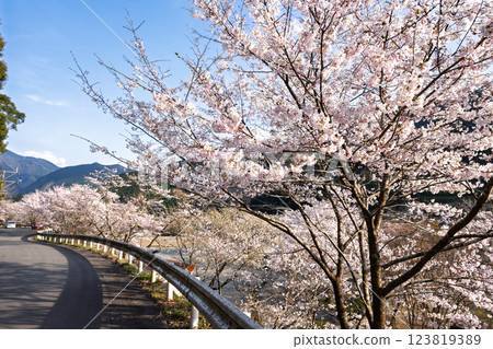 觀光休憩地：淺之原臨水公園的櫻花美景（熊本縣球磨郡水上村湯山） 123819389