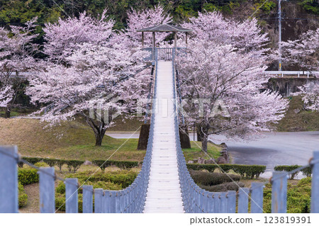 觀光休憩地：淺之原臨水公園的櫻花美景（熊本縣球磨郡水上村湯山） 123819391