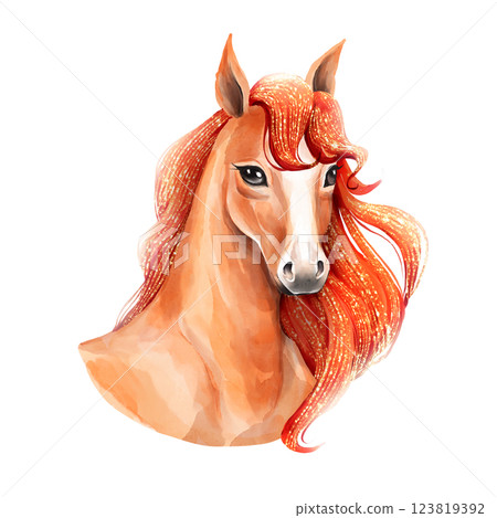 Cute Horse Portrait Illustration on White Background. Cute Horse Portrait Illustration on White Background. 123819392