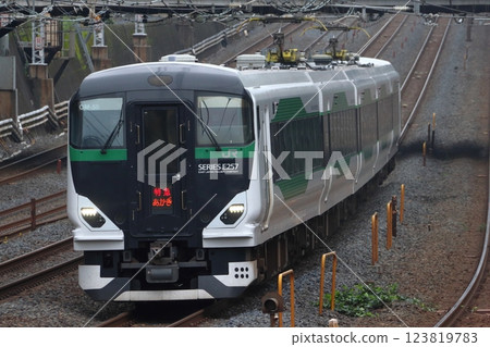 Takasaki Line Limited Express Akagi: E257 series train (Ueno bound) 123819783