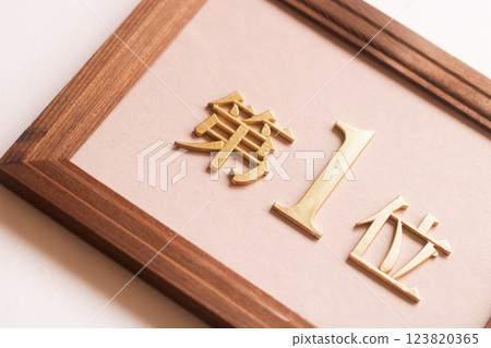 The first place 123820365