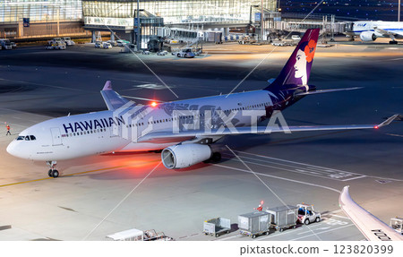 夏威夷航空 A330 在羽田機場滑行 123820399