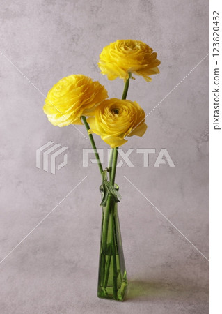 Three ranunculus 123820432