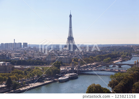 Aerial view of the Seine river and the Eiffel Tower in Paris 123821158