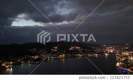 [Nagasaki night view from the sky] Mount Inasa and shipbuilding dock at Nagasaki Port 123821753