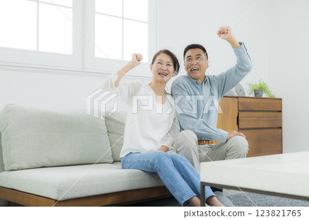 Senior couple in the living room 123821765