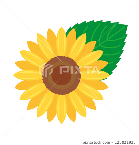 向日葵和葉子的插圖 向日葵和葉子的插圖 123821923