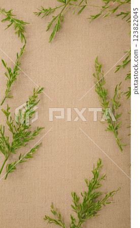 Spring frame of soft green branches on fabric. Soft matte pastel color. Earth Day, ecology Spring frame of soft green branches on fabric. Soft matte pastel color. Earth Day, ecology 123822045