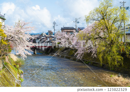 Takayama, Gifu Prefecture, Japan April 17, 2024: Red Nakahashi Bridge during the blooming of Miyagawa Kawakami cherry blossoms in Gifu Takayama, Japan. 123822329
