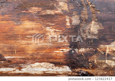 Close-up of a worn wooden surface showcasing natural details 123822417