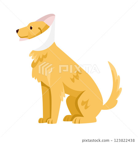 Dog Breed as Domestic Pet in Sitting Pose Vector Illustration Dog Breed as Domestic Pet in Sitting Pose Vector Illustration 123822438