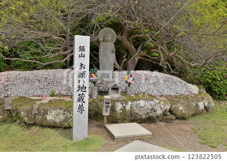 On a fine day during Golden Week, when the greenery is fresh, I visited Nihonji Temple in Kyonan Town, Chiba Prefecture, and prayed for peace at the Onegai Jizo Statue. 123822505