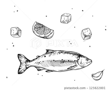 Ink sketch of salmon with lemon and ice with salt isolated on white background. Vector ink vintage engraving illustration fish for menu, web and label. Hand drawn in a graphic style linear drawing Ink sketch of salmon with lemon and ice with salt isolated on white background. Vector ink vintage engraving illustration fish for menu, web and label. Hand drawn in a graphic style linear drawing 123822801