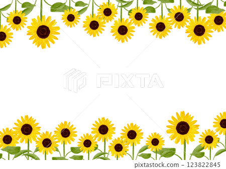 用水彩畫的向日葵花框插圖 123822845