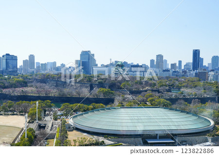 Osaka Castle Tower and Osaka Castle Hall as seen from Hotel New Otani (photographed in March 2025) 123822886