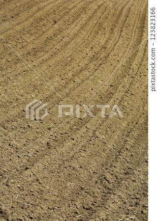 Plowed field 123823166