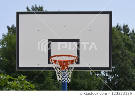 Basketball hoop 123823189