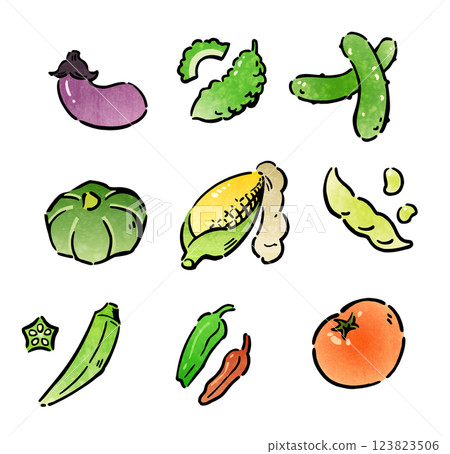 蔬菜原料 123823506