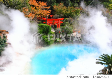 [Oita Prefecture] Beppu Onsen Sea Hell (Beppu Hell Tour) 123823825
