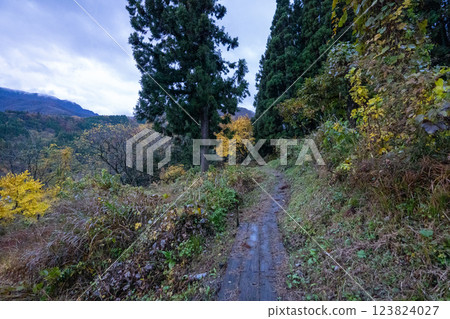 歷史悠久的古道「鹽路」及其周邊地區 123824027