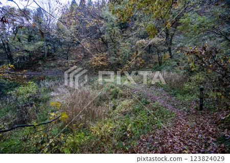 歷史悠久的古道「鹽路」及其周邊地區 123824029