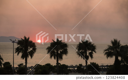 Sunset over the serene Albanian coast with palm trees silhouetted against the colorful sky 123824408