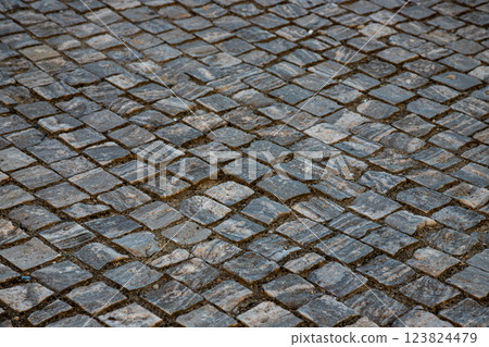 Cobblestone street in Bucharest showcases unique patterns and textures of urban architecture during evening hours Cobblestone street in Bucharest showcases unique patterns and textures of urban architecture during evening hours 123824479