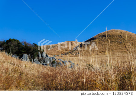 冬季的平尾台(北九州市小倉南區) 冬季的平尾台(北九州市小倉南區) 123824578