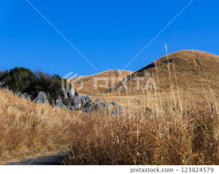 冬季的平尾台(北九州市小倉南區) 冬季的平尾台(北九州市小倉南區) 123824579