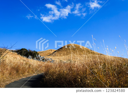 冬季的平尾台(北九州市小倉南區) 冬季的平尾台(北九州市小倉南區) 123824580