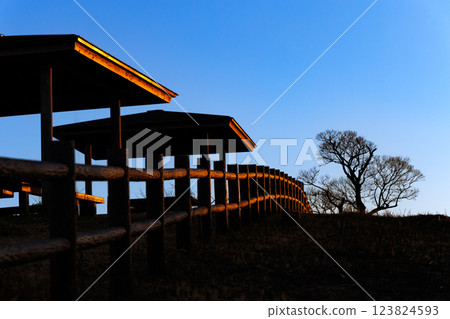 冬季的平尾台（北九州市小倉南區） 123824593