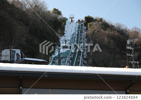 Mikata Goryo 123824884