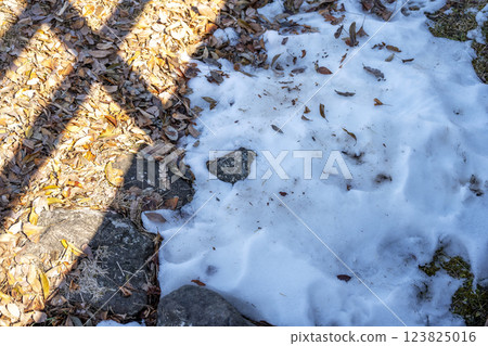 雪，雪景，降雪，冬季素材[神奈川縣] 123825016