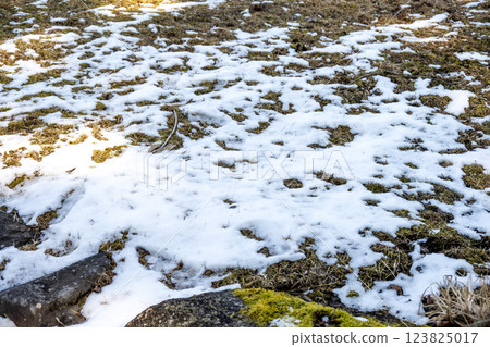 雪，雪景，降雪，冬季素材[神奈川縣] 123825017