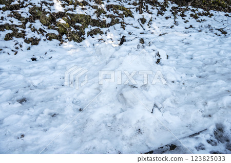 雪，雪景，降雪，冬季素材[神奈川縣] 123825033