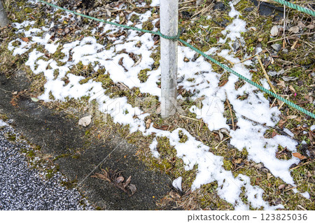 Snow, snow scenery, snowfall, winter material [Kanagawa Prefecture] 123825036
