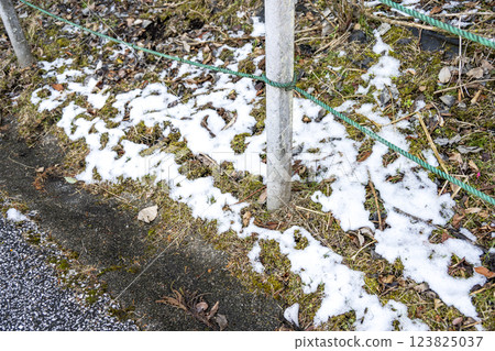 Snow, snow scenery, snowfall, winter material [Kanagawa Prefecture] 123825037