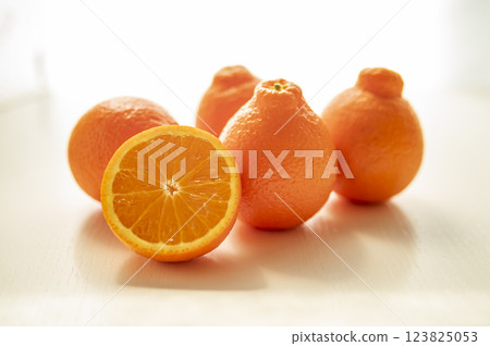 Born in Florida Mineo La Orange 123825053
