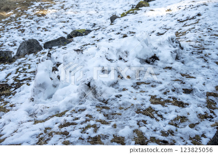 Snow, snow scenery, snowfall, winter material [Kanagawa Prefecture] 123825056