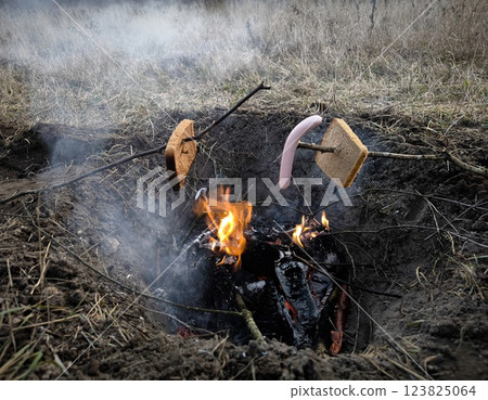 Grilled sausage on the background of a campfire. adventure, travel, tourism and camping concept Grilled sausage on the background of a campfire. adventure, travel, tourism and camping concept 123825064