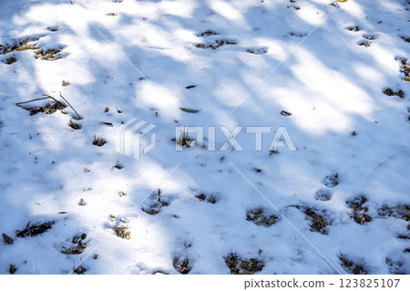 雪，雪景，降雪，冬季素材[神奈川縣] 123825107
