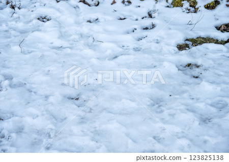 雪，雪景，降雪，冬季素材[神奈川縣] 123825138