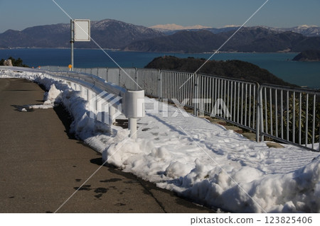 Mikata Goryo 123825406